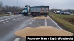 Розсипане польськими фермерами українське зерно поблизу пункту пропуску «Дорогуськ-Ягодин». Польща, 11 лютого 2024
