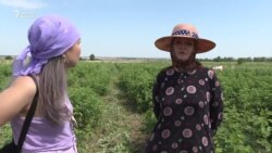 “Түшүмдөн куржалак калбасак экен” 