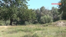 VIDEO | Fragmente din drona explodată pe malul românesc al Dunării, recuperate de Europa Liberă
