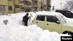 Жапония.