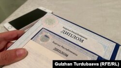 Кыргызстанда жасалма дипломдорду текшерип, аныктоо өнөктүгү бүтө элек. 
