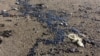 Аварія танкерів у Керченській протоці: МНС Росії заявило про масляну пляму в районі озера Тобечицьке