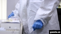 Ўзбекистонлик тиббиёт ходими COVID-19 тести учун олинган намуналар билан ишламоқда, 