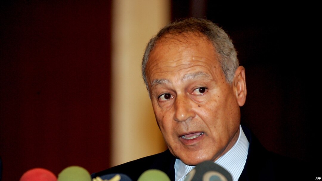 احمد ابوالغیط، وزیر امور خارجه مصر
