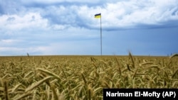 Південні регіони вважаються житницею України