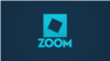 Google заборонила співробітникам використовувати додаток Zoom – ЗМІ