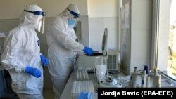 Сотрудники медицинской лаборатории работают с тестами на COVID-19. Иллюстративное фото.