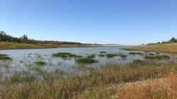 Обмелевшее Белогорское водохранилище, 24 августа 2020 года