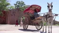 ایا ټانګه د ورکېدو په حال کې ده؟