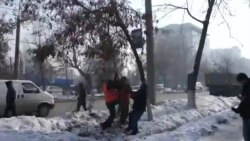 Издевательство над деревом (полная версия)