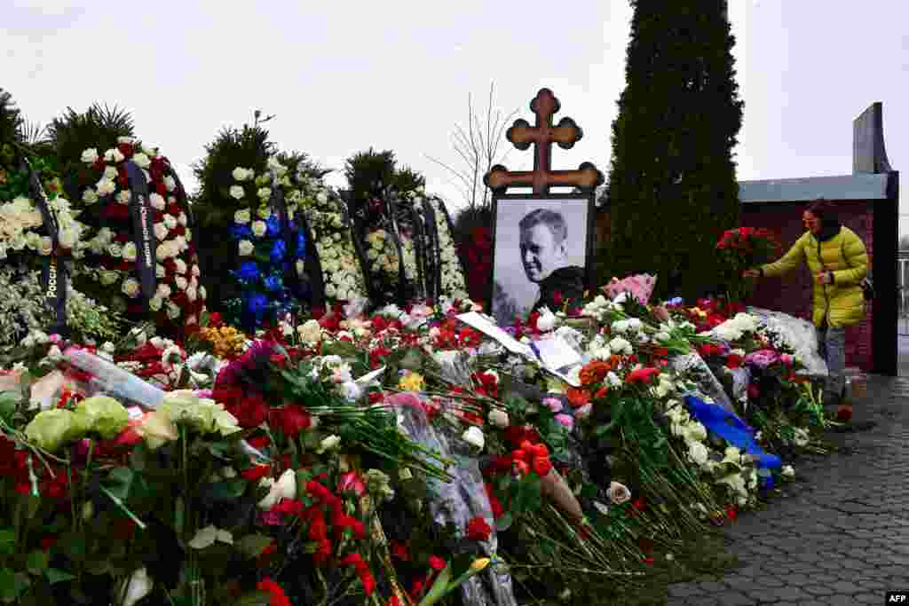 Навальныйдын мүрзөсүнө гүл койгондордун аягы суюла элек. 