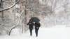 Через негоду знеструмлено десятки населених пунктів