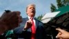 Зустріч із Путіним може відбутися влітку – Трамп
