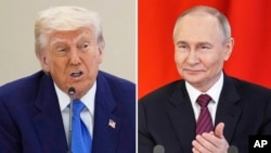 Дональд Трамп, Уладзімір Пуцін, каляж