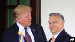 Donald Tramp və Viktor Orban