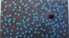 16x9 Image