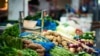 Мінсоцполітики анонсує продуктову програму для малозабезпечених на час карантину