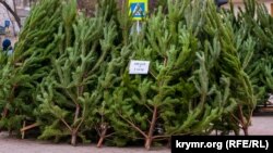 Елочный базар в Крыму