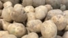 Image result for Крук