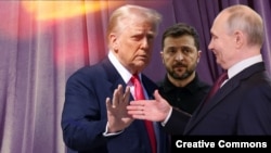 Tramp, Zelenski, Putin
