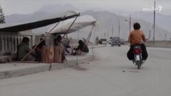 د کوټې ډولچیانو بې وزله ژوند