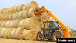 Такими діями Росія підриває продовольчу безпеку в Україні і світі, наголошує українська розвідка