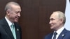 Ердоган розповів Путіну про «нові ініціативи» щодо зернової угоди та війни в Україні